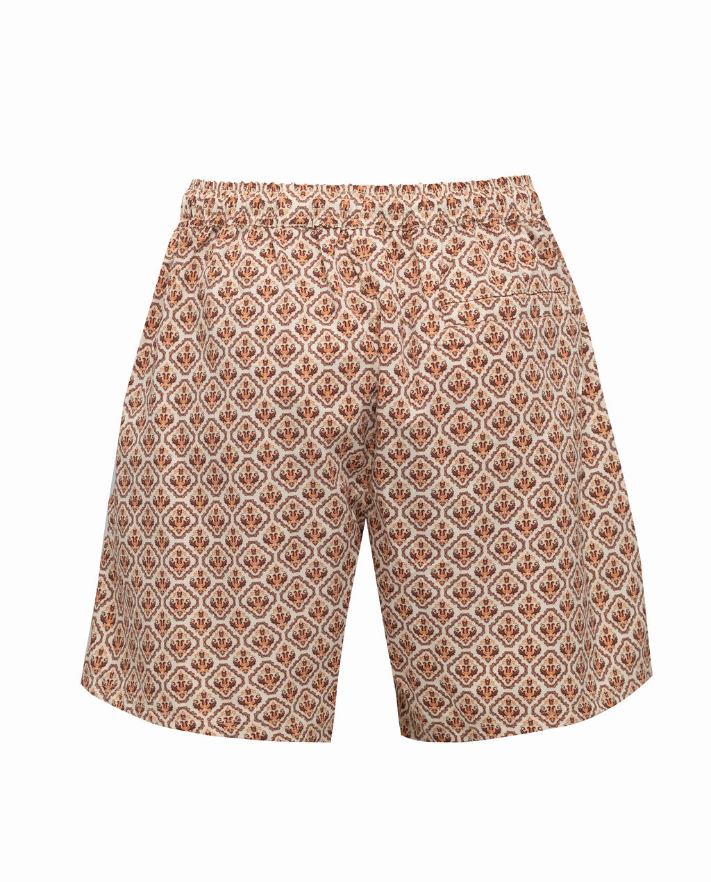 OREL BROWN SWIM SHORTS